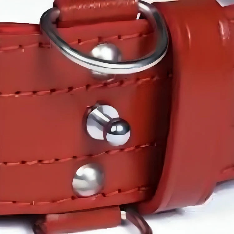 Regulation Police Cross-Strap,Dual-Point Support Belt_Brown